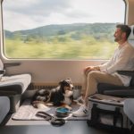 découvrez nos conseils pratiques pour voyager en train avec votre chien en toute sérénité et confort.